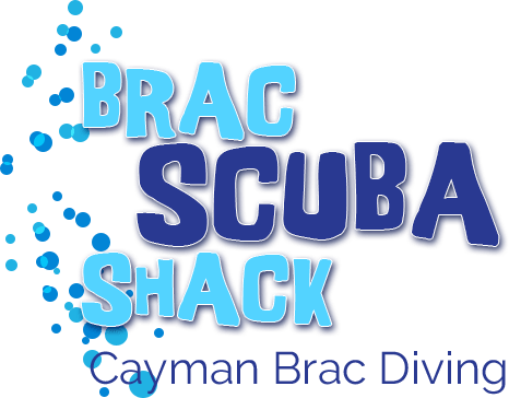 Brac Schuba Shack